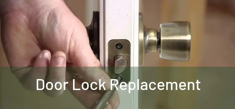 Door Lock Replacement 